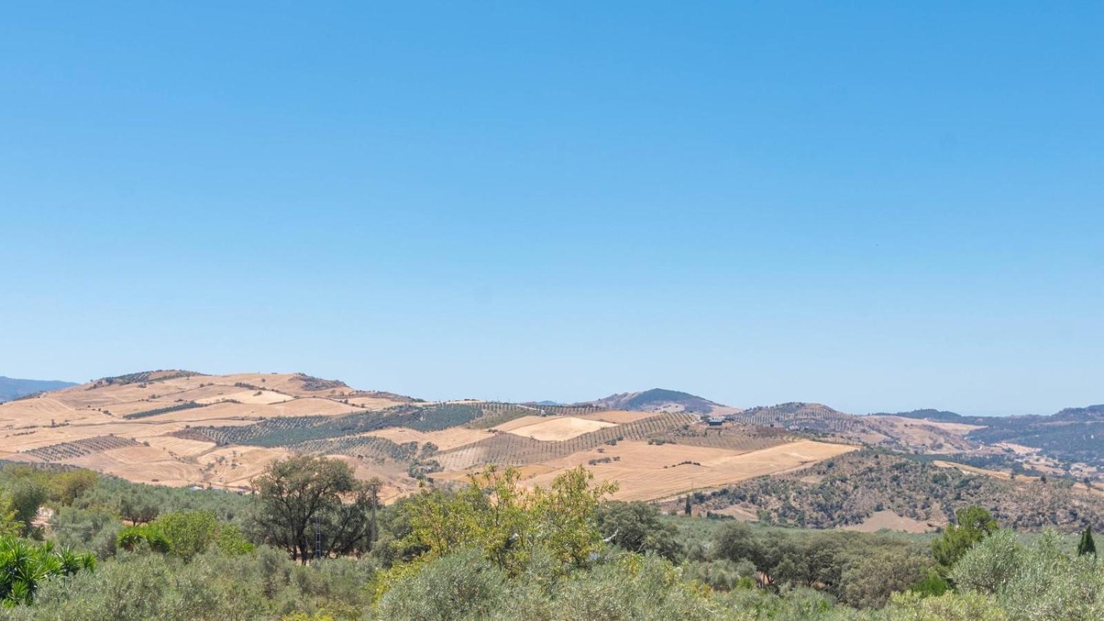 Casa Pulirio Antequera - La Higuera By Ruralidays Villa Kültér fotó
